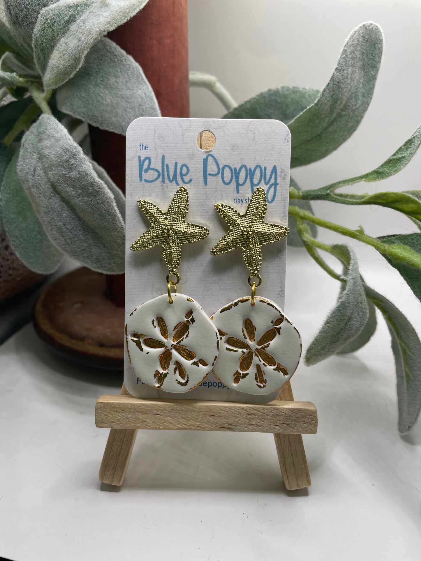 Starfish & Sand dollars