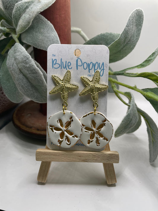 Starfish & Sand dollars